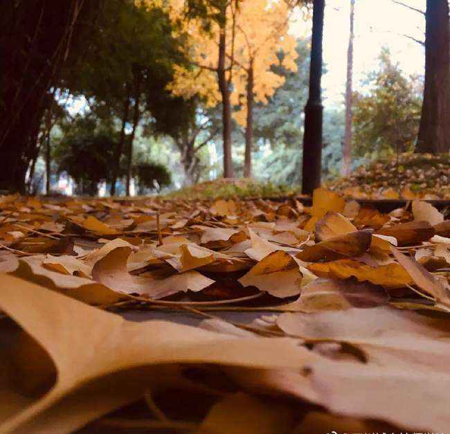 五年制大專是3+2嗎_五年制大專是中專嗎