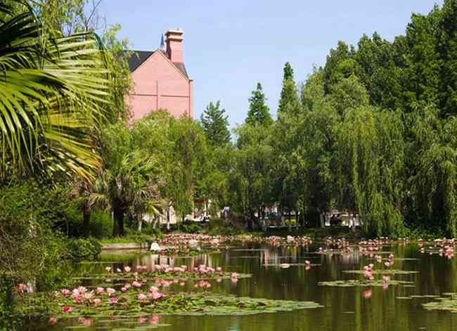 清華北大高考錄取分?jǐn)?shù)線2026