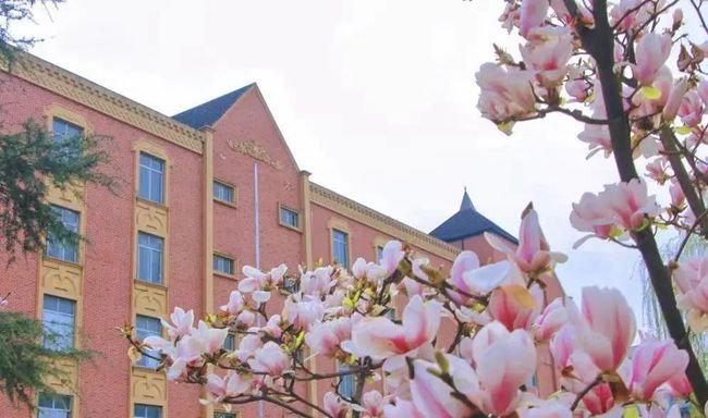 綿陽(yáng)市2026年中考成績(jī)公布綿陽(yáng)中學(xué)錄取分?jǐn)?shù)662分