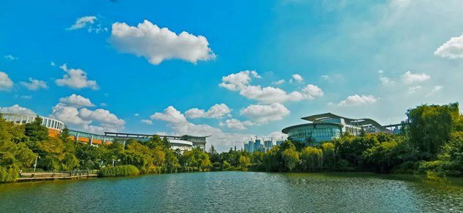 展會美術設計制作專業