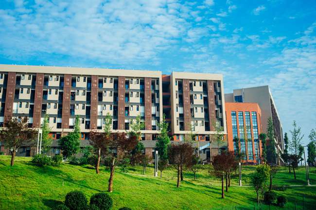 2026年新川外國語高中招生對象,報名條件