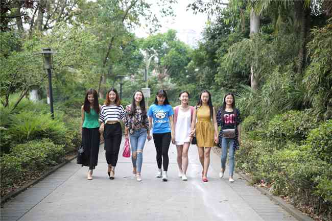 高鐵動車服務與管理專業